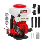 Main