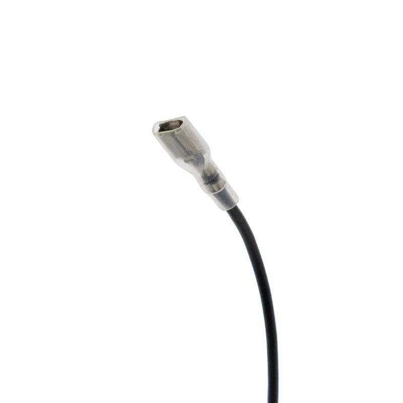 Main
