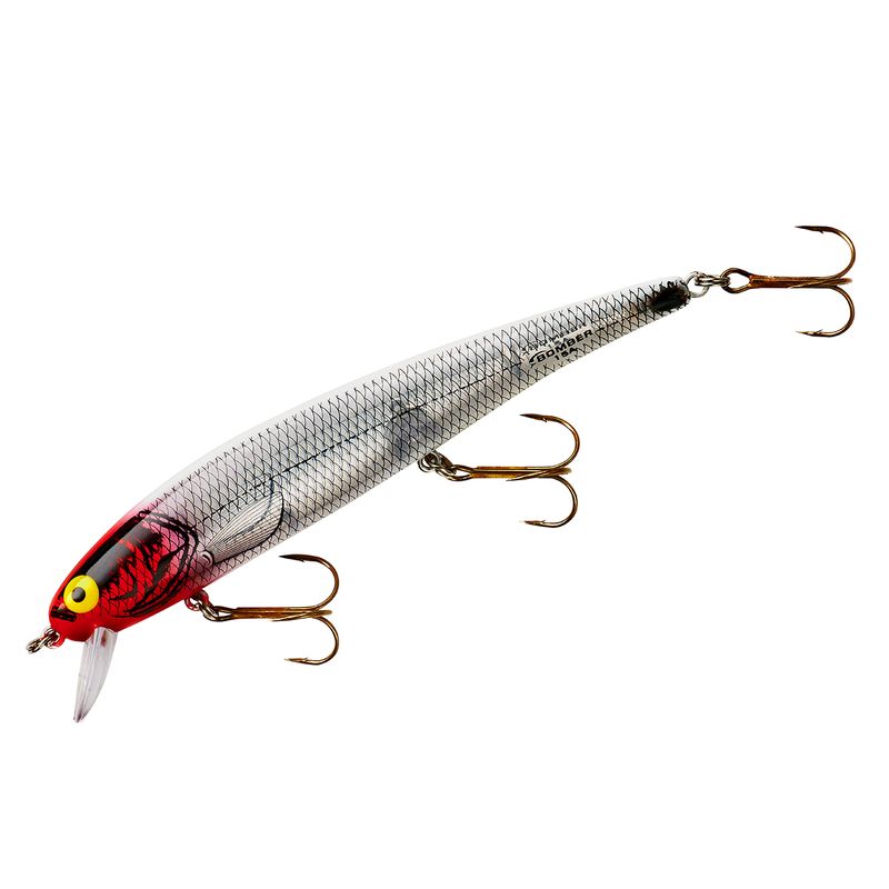 Main